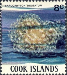 Sarcophyton digitatum