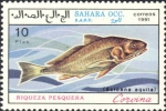 Sciaena aquila