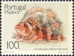 Scorpaena maderensis