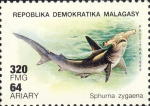 Sphyrna zygaena