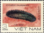 Stichopus chloronotus
