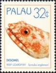 Synodus englemani