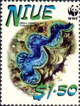 Tridacna maxima
