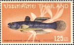Vaimosa rambaiae