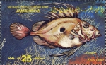 Vissen