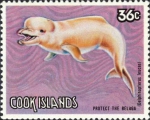 Delphinapterus leucas