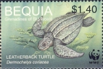 Dermochelys coriacea