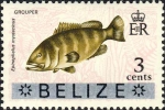 Epinephelus mystacinus