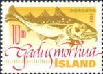 Gadus morhua