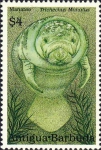 Trichechus manatus