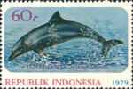 Zoogdieren