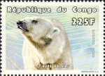 Ursus maritimus