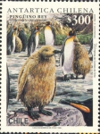 Aptenodytes patagonicus