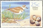 Charadrius vociferus