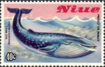 Balaenoptera musculus