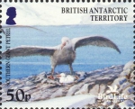 Macronectes giganteus