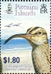 Numenius tahitiensis