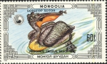 Pelecanus crispus