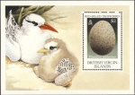 Aves (birds)