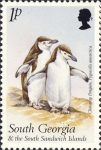 Pygoscelis antarctica