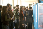 Postersessie