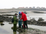 SWG excursies