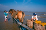 People at the coast