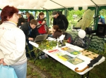 Botanists keying out the different plant species they collected during the BioBlitz
