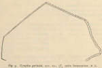 Giltay, L. (1934). Zoologie: Pycnogonides. Résultats du Voyage de la Belgica en 1897-1899 sous le commandement de A. de Gerlache de Gomery: Rapports Scientifiques (1926-1940). Buschmann: Anvers, Belgium. 16 pp. Giltay, L. (1934). Zoologie: Pycnogonides. Résultats du Voyage de la Belgica en 1897-1899 sous le commandement de A. de Gerlache de Gomery: Rapports Scientifiques (1926-1940). Buschmann: Anvers, Belgium. 16 pp.