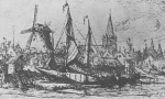 Desnerck (1974, fig. 206) Desnerck (1974, fig. 206)