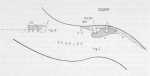 Desnerck (1974, fig. 221) Desnerck (1974, fig. 221)