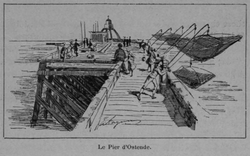 Auguin (1898, fig. 20)