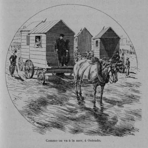 Auguin (1898, fig. 30)