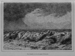Auguin (1898, fig. 38) Auguin (1898, fig. 38)