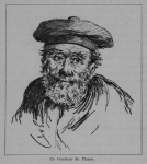 Auguin (1898, fig. 39) Auguin (1898, fig. 39)