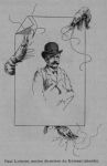 Auguin (1898, fig. 41) Auguin (1898, fig. 41)