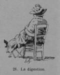 Auguin (1899, fig. 28) Auguin (1899, fig. 28)