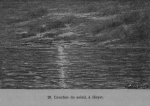 Auguin (1899, fig. 29) Auguin (1899, fig. 29)