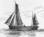 Verbrugghe (1932, fig. 11) Verbrugghe (1932, fig. 11)