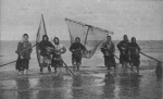 Verbrugghe (1932, fig. 22) Verbrugghe (1932, fig. 22)