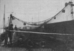 Verbrugghe (1932, fig. 23) Verbrugghe (1932, fig. 23)