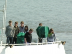 JPG file