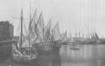 De Zuttere (1909, fig. 09) De Zuttere (1909, fig. 09)