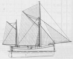 De Zuttere (1909, fig. 17) De Zuttere (1909, fig. 17)