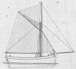 De Zuttere (1909, fig. 19) De Zuttere (1909, fig. 19)