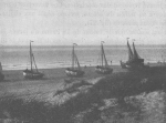 De Zuttere (1909, fig. 26) De Zuttere (1909, fig. 26)