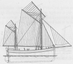 De Zuttere (1909, fig. 28) De Zuttere (1909, fig. 28)