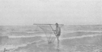 De Zuttere (1909, figuur 31)