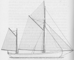 De Zuttere (1909, fig. 35) De Zuttere (1909, fig. 35)