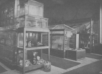 Vermaut, De Zuttere (1914, fig. 07) Vermaut, De Zuttere (1914, fig. 07)